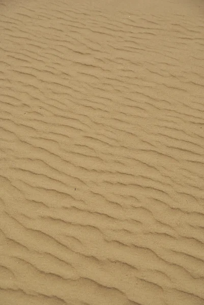 stock image Sand