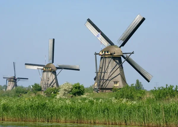 Molinos de Kinderdijk Holanda —  Fotos de Stock