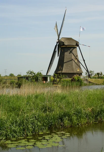 Moinhos de Kinderdijk holland — Fotografia de Stock