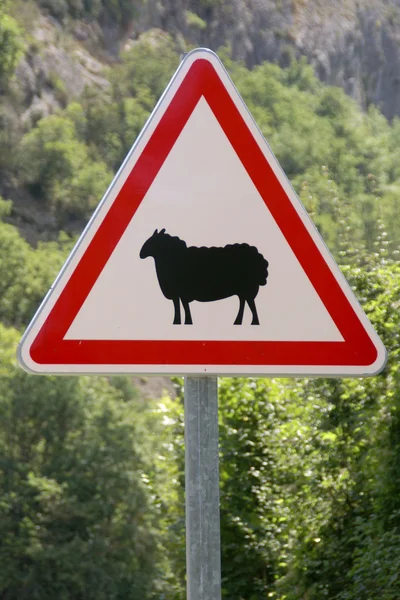 Предупреждение дорожного знака — стоковое фото