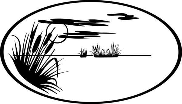 Beautiful Nature Scene