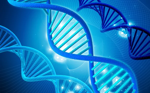 ДНК — стоковое фото