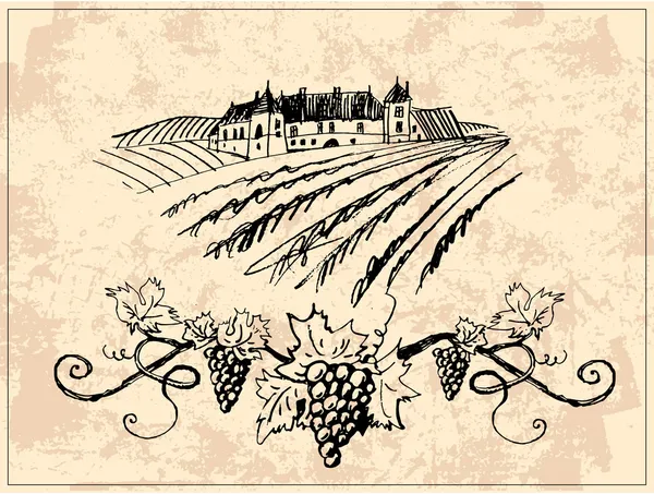 Vignoble et château — Image vectorielle