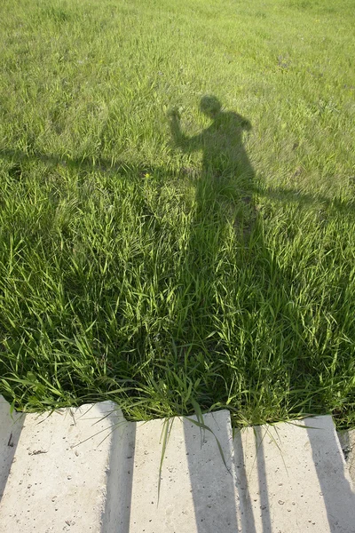 stock image Green grass