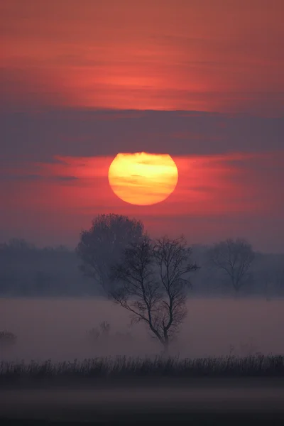 Восход солнца Стоковое Изображение