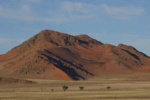 非洲沙丘 — 图库照片