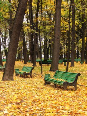 sonbaharda kent Park boş tezgah