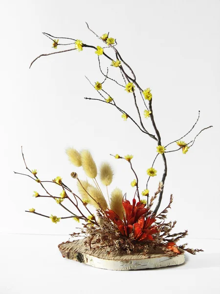Ikebana på vit — Stockfoto