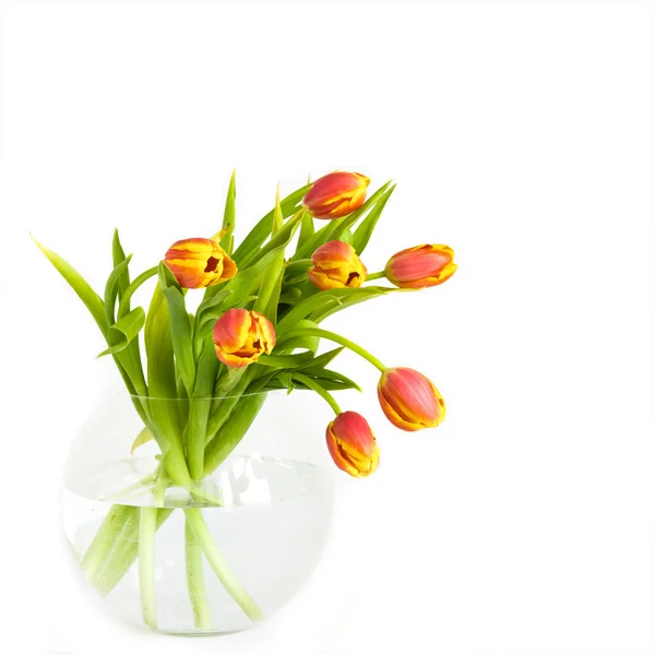 Гарний букет тюльпанів — стокове фото