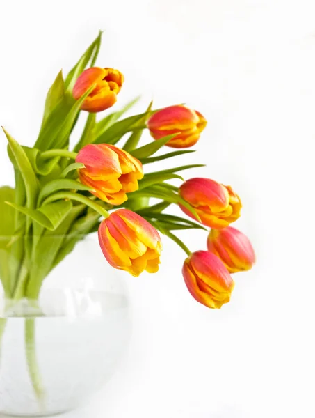 Mooi boeket tulpen — Stockfoto