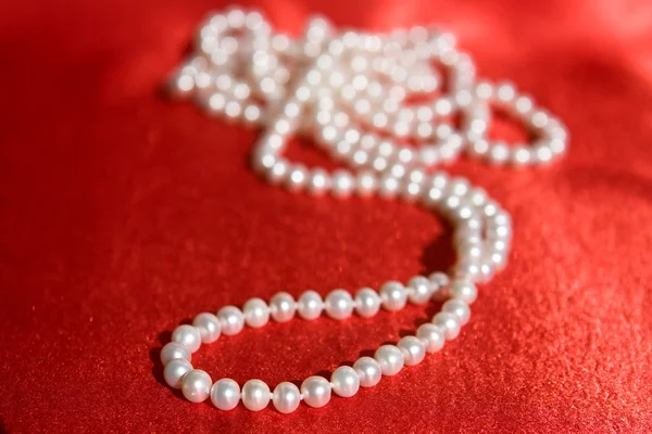 Pearl necklace, small DOF — Stock Photo, Image