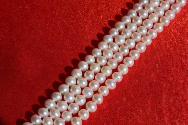真珠 — ストック写真