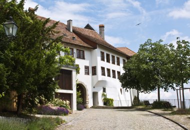 Main entrance to the Regensberg castle clipart