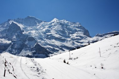 Jungfrau bölgesi