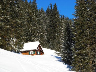 Kış tatil evi