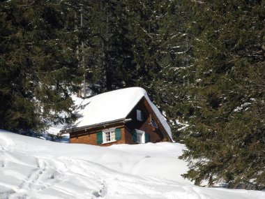 Kış tatil evi