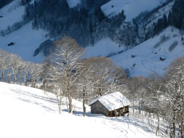 Small cottage in alps clipart