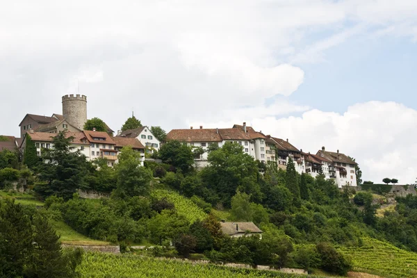 Regensberg 城堡 — 图库照片