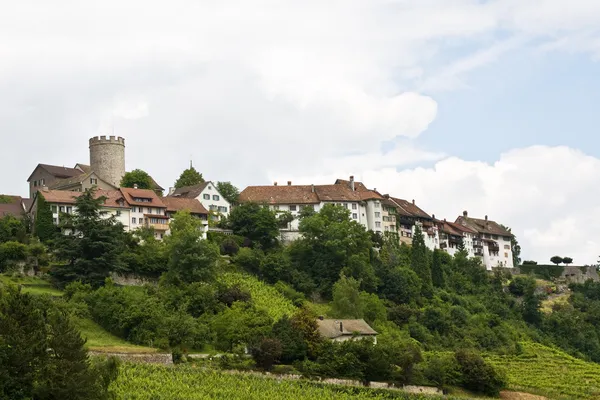 Burg Regensberg — Stockfoto