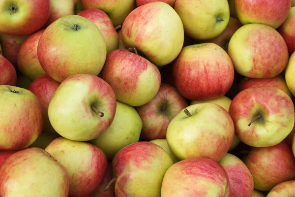 "Яблоки Джонагольда — стоковое фото