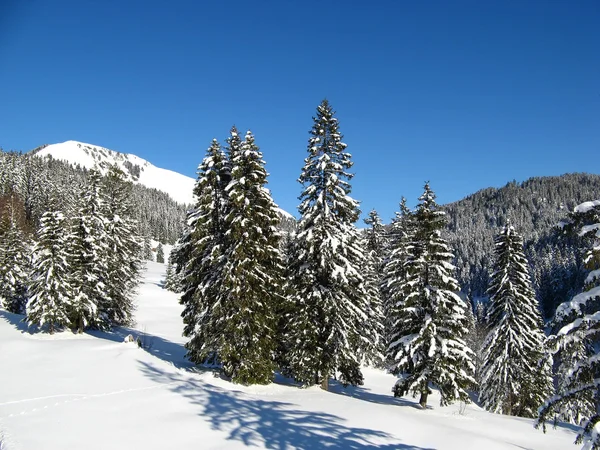 冬天的阿尔卑斯山 — 图库照片