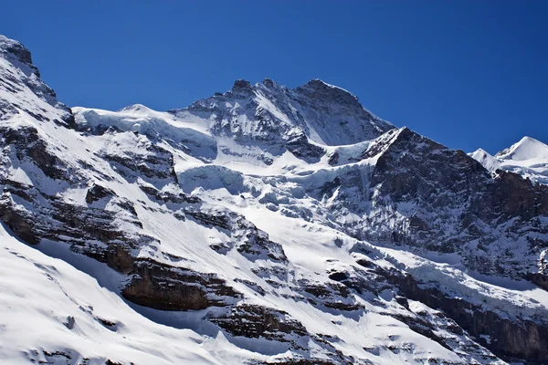Της περιοχής Jungfrau — Φωτογραφία Αρχείου