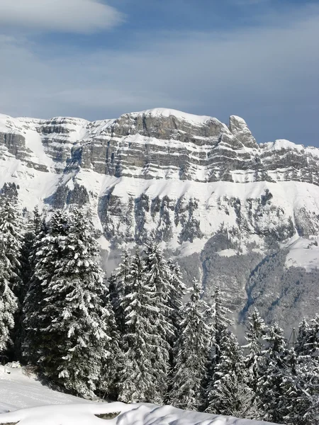 Vinter i Alperne - Stock-foto