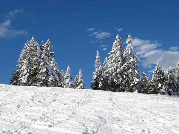 Vinter i Alperna — Stockfoto