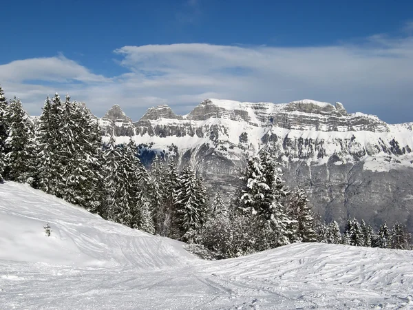 L'hiver dans les Alpes — Photo