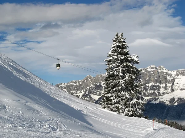 Esquí en los Alpes —  Fotos de Stock