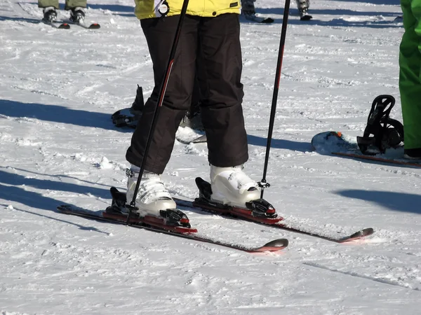 スキーの equipmnet の要素 — ストック写真
