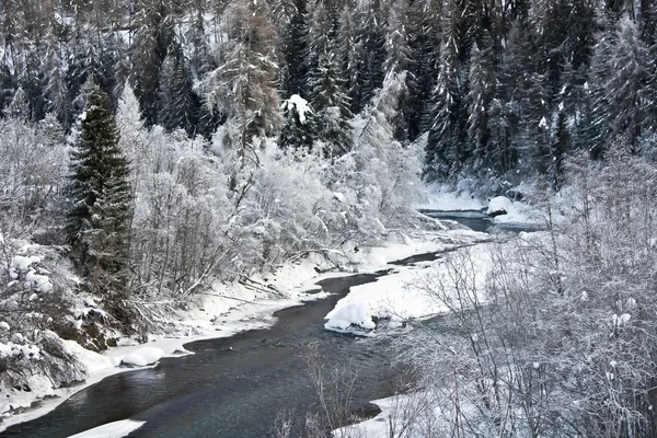 stock image Winter landscape