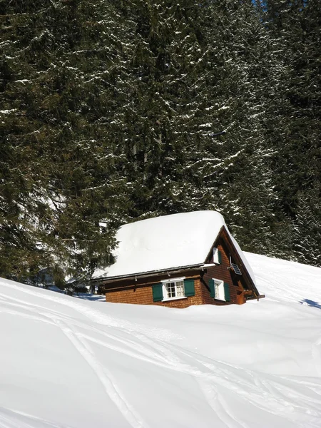 Schi în alpii elvețieni — Fotografie, imagine de stoc