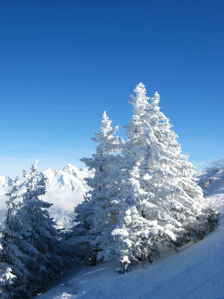 Skifahren in den Schweizer Alpen — Stockfoto