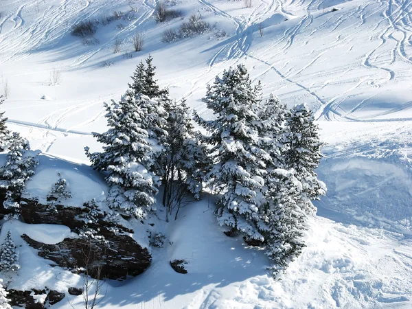 Катание на лыжах в швейцарских Альпах — стоковое фото