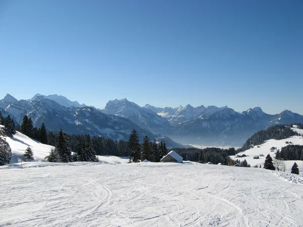 "Itinéraire de ski bleu — Photo