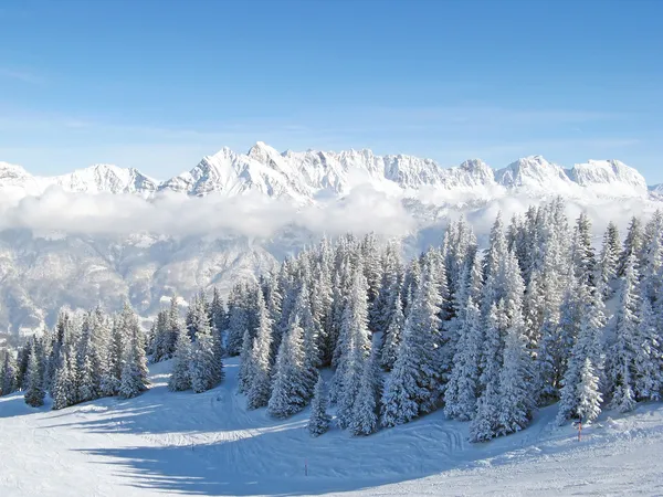Зима в Альпах Лицензионные Стоковые Изображения