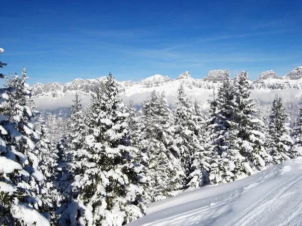 Vinter i Alperna Royaltyfria Stockbilder