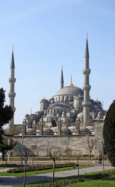 Stock image Blue mosque