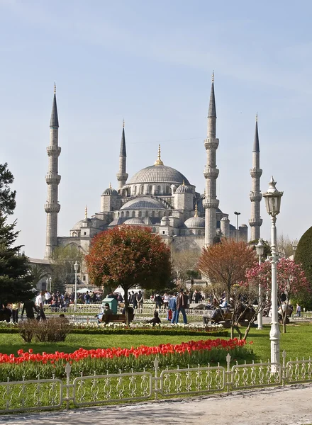 伊斯坦堡。蓝色清真寺. — 图库照片
