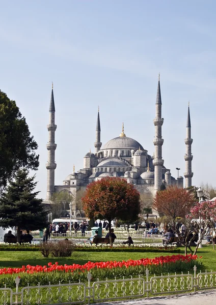Istanbul. blauwe moskee. — Stockfoto