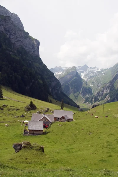 Piccola azienda agricola nelle Alpi svizzere — Foto Stock