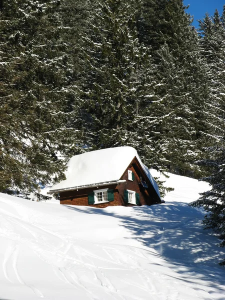 Alpler küçük bir evde — Stok fotoğraf