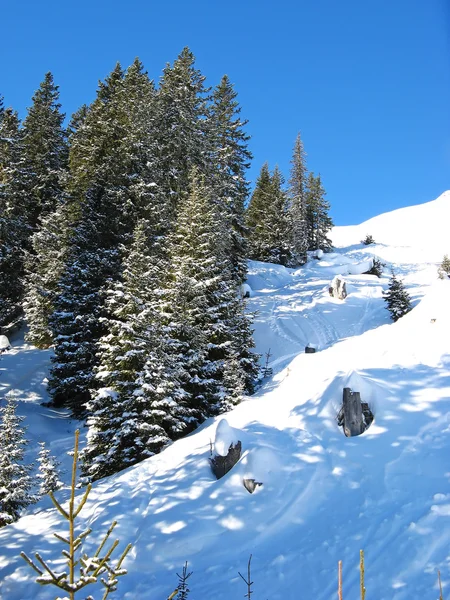 ฤดูหนาวในเทือกเขาแอลป์ — ภาพถ่ายสต็อก