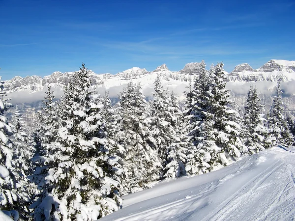 Inverno nos Alpes Imagens Royalty-Free