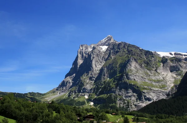 Jungfrau region in summer — Stock Photo, Image
