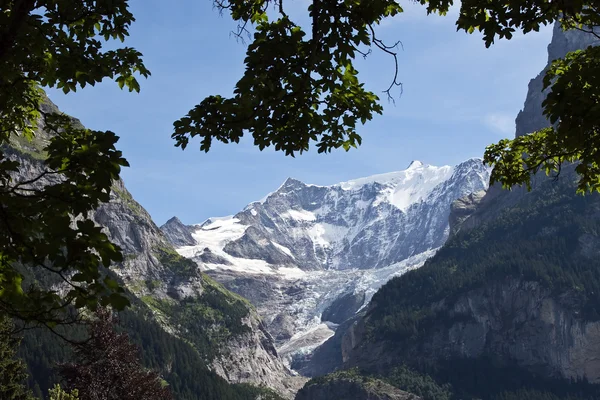 Альпийский ледник — стоковое фото
