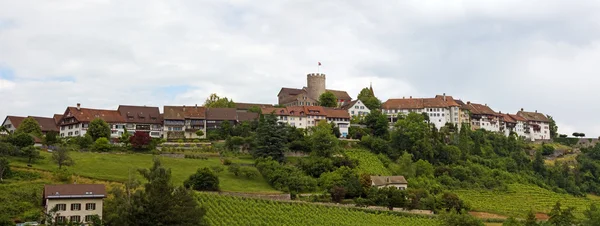 Château de Regensberg — Photo