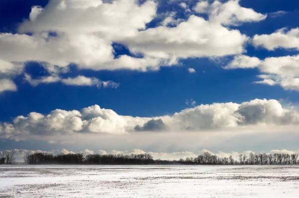 Winter veld — Stockfoto