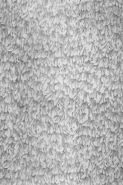Gray texture — Stock Photo, Image